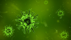 Evenementen in Nederland afgelast door maatregelen coronavirus
